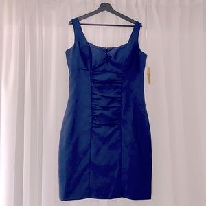 NWT Clari.e. Dress